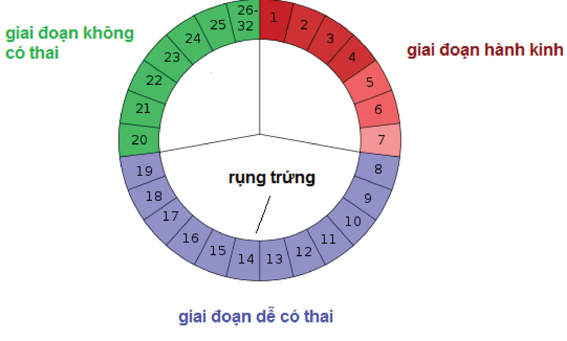 Bị rong kinh có thai được không? Khả năng và lưu ý khi quan hệ trong rong kinh.