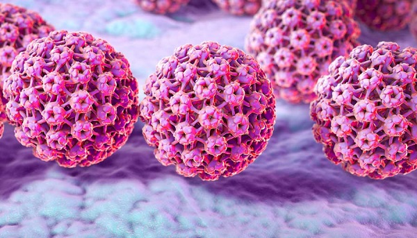 Đa số nguyên nhân của ung thư cổ tử cung là do virus HPV