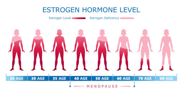 Vô kinh: Biến đổi hormone estrogen theo tuổi của phụ nữ 