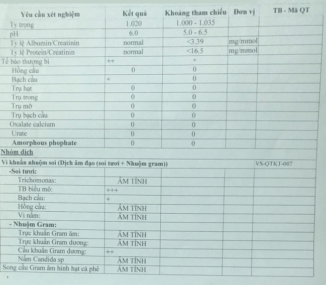 Hình ảnh kết quả soi tươi dịch âm đạo trên 1 bệnh nhân Kết quả soi tươi như thế nào là bình thường