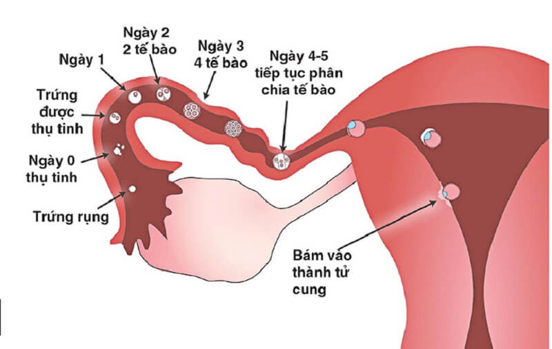 noi mac tu cung 2