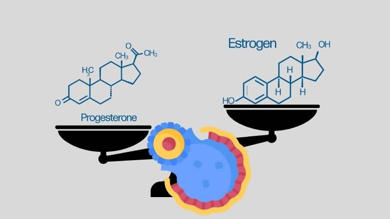 Sự mất cân bằng hormone sinh dục có thể dẫn tới rong kinh kéo dài