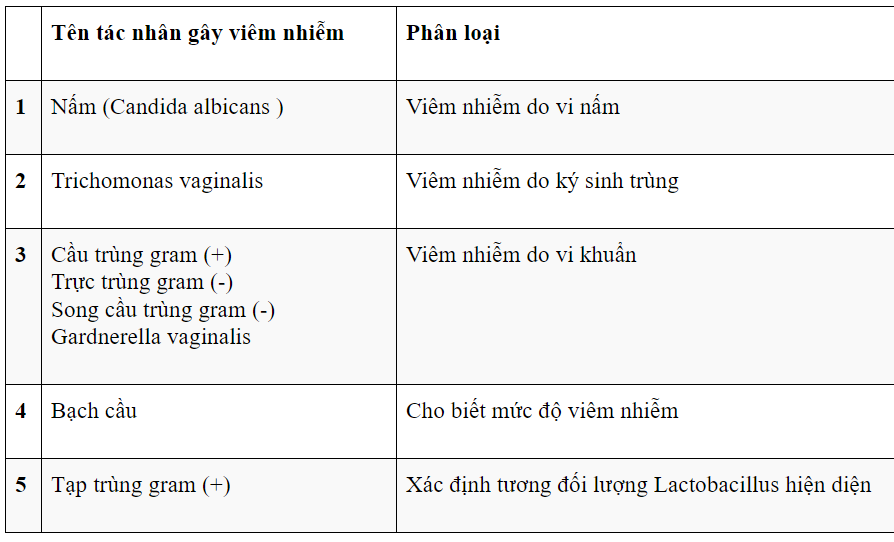 Một số tác nhân gây viêm nhiễm âm đạo.