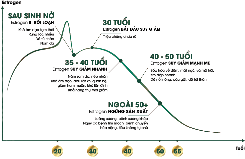 Sự thay đổi hormon ở phụ nữ theo từng độ tuổi