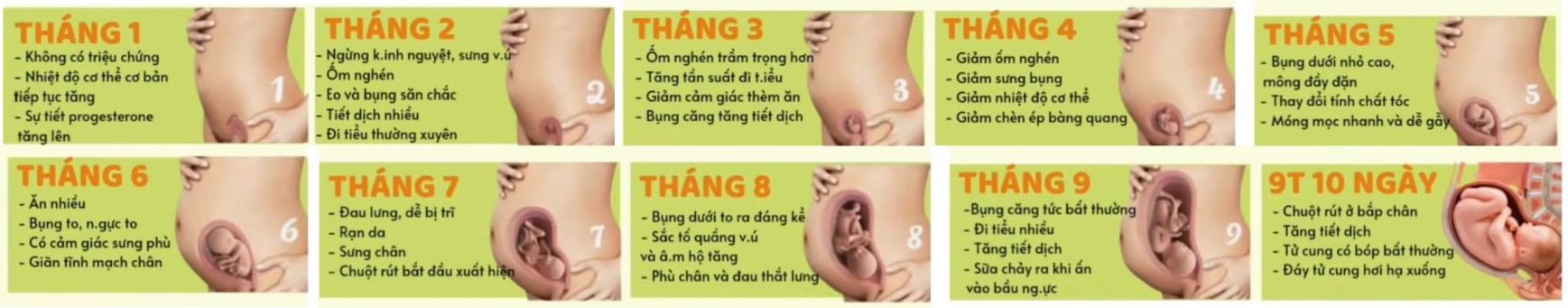 Các triệu chứng mà mẹ có thể gặp qua các tháng của thai kỳ