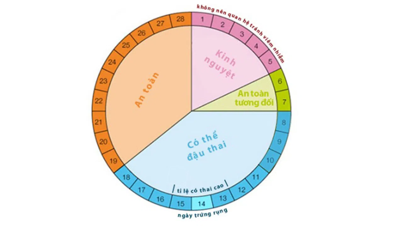 7. Câu Hỏi Thường Gặp Về Phương Pháp Tính Ngày Rụng Trứng