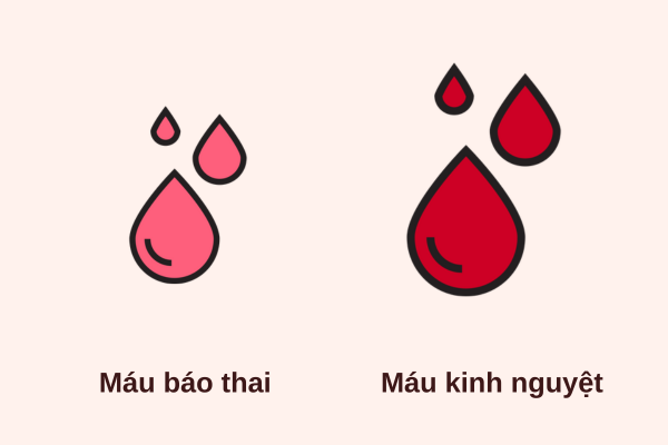 Phân biệt máu báo thai và máu kinh nguyệt