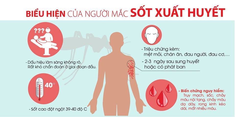 Rong kinh có thể là một biểu hiện của sốt xuất huyết