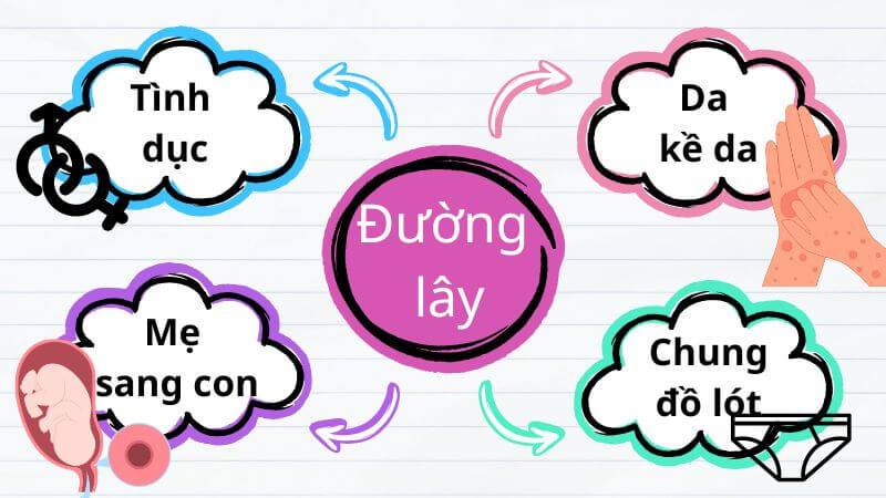 Ung thư cổ tử cung lây qua nhiều đường, chủ yếu liên quan đến tình dục