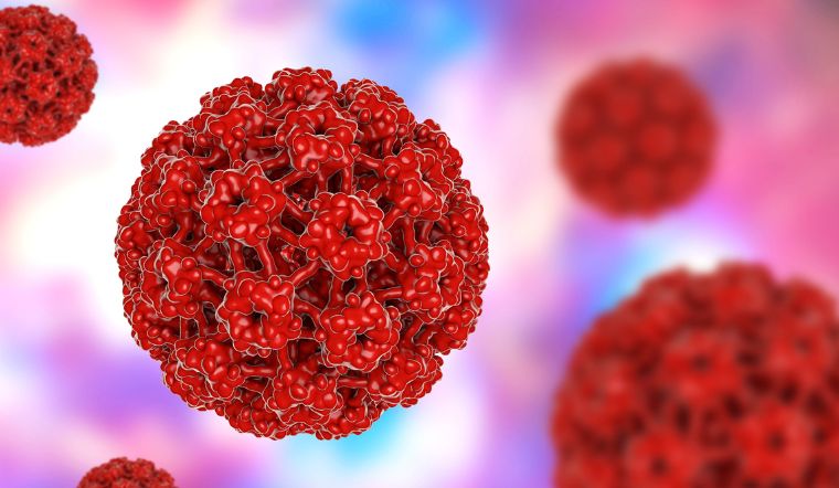 Virus HPV gây ra những triệu chứng và bệnh lý của cơ quan sinh dục.