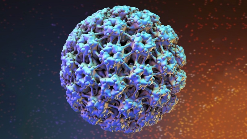 Virus HPV