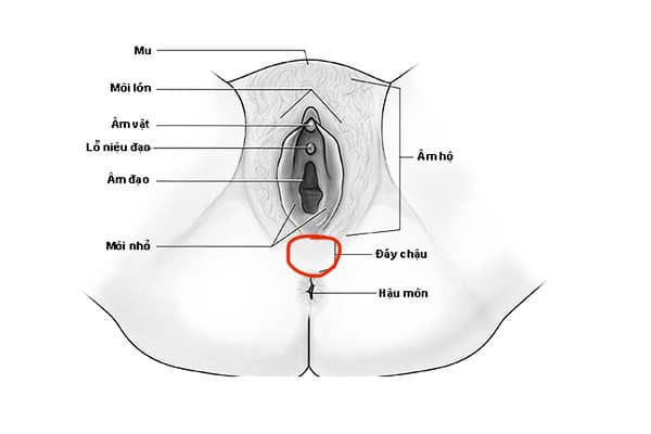 Thấy mụn nhỏ 0.5mm ở vùng kín 2 Hình ảnh do khách hàng ẩn danh cung cấp