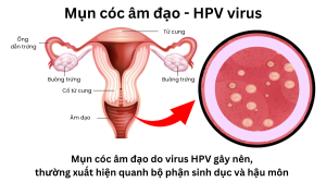 Gai sinh dục và sùi mào gà có gì khác nhau?