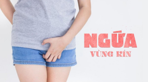 ngua vung kin