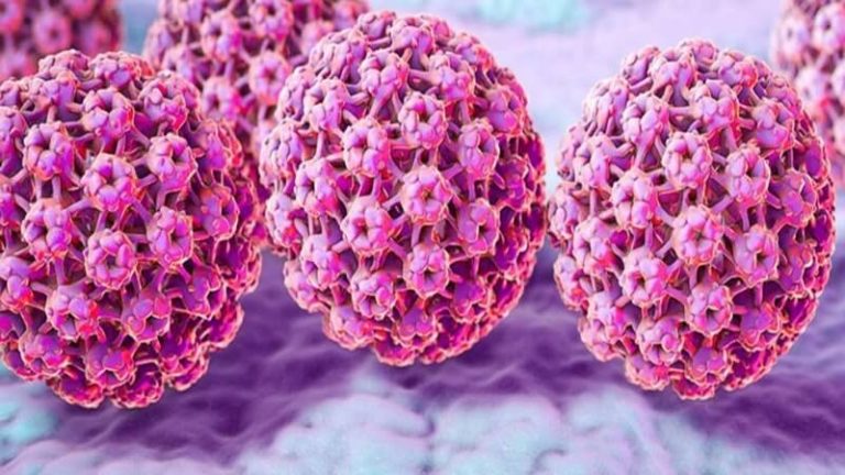 HPV là một yếu tố gây nên ung thư tại cổ tử cung