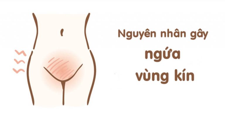 vùng kín
