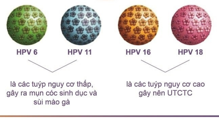 xét nghiệm HPV