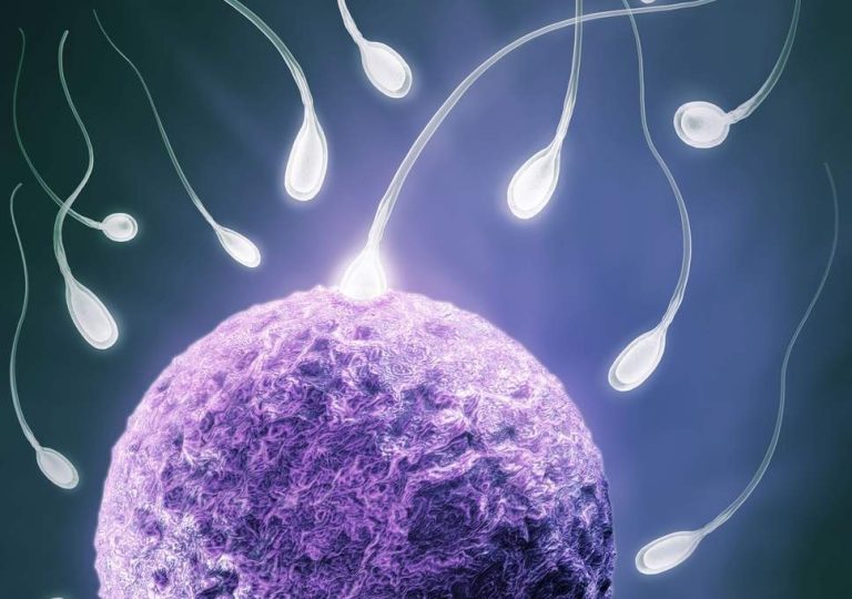 azoospermia
