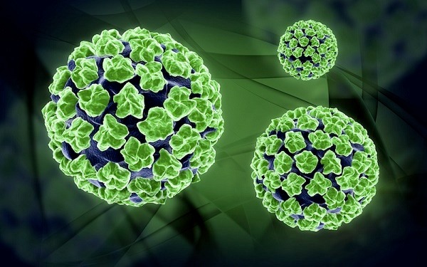 hpv dương tính
