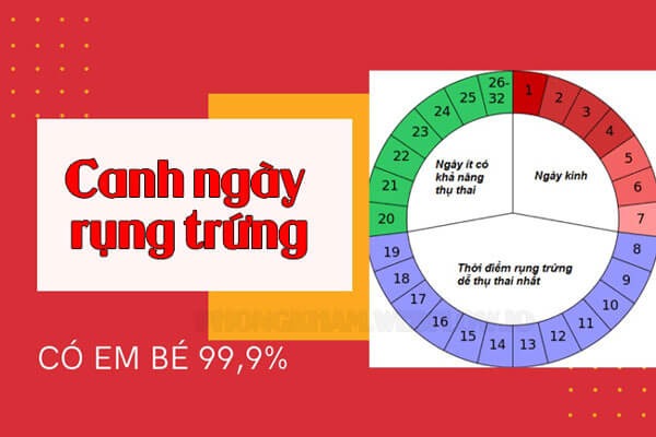 canh trứng