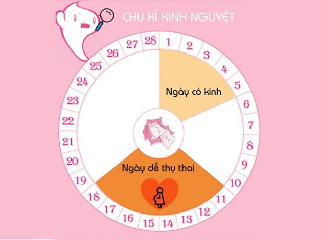 số lượng trứng