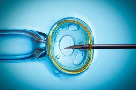 IVF