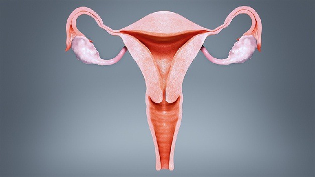 IVF