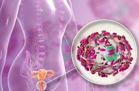 nấm candida