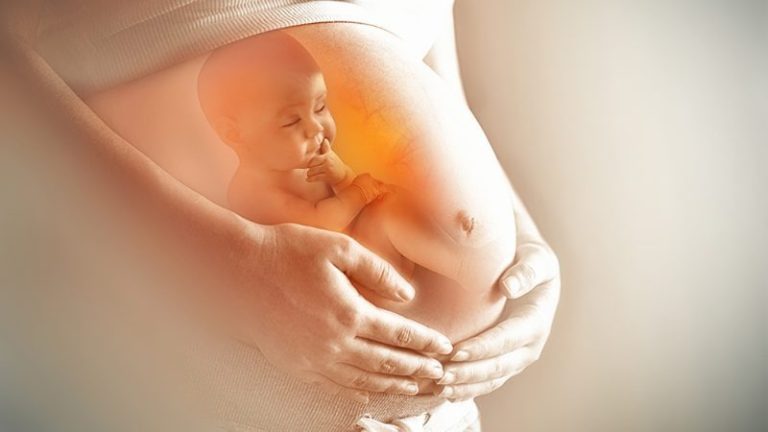 Thai IVF
