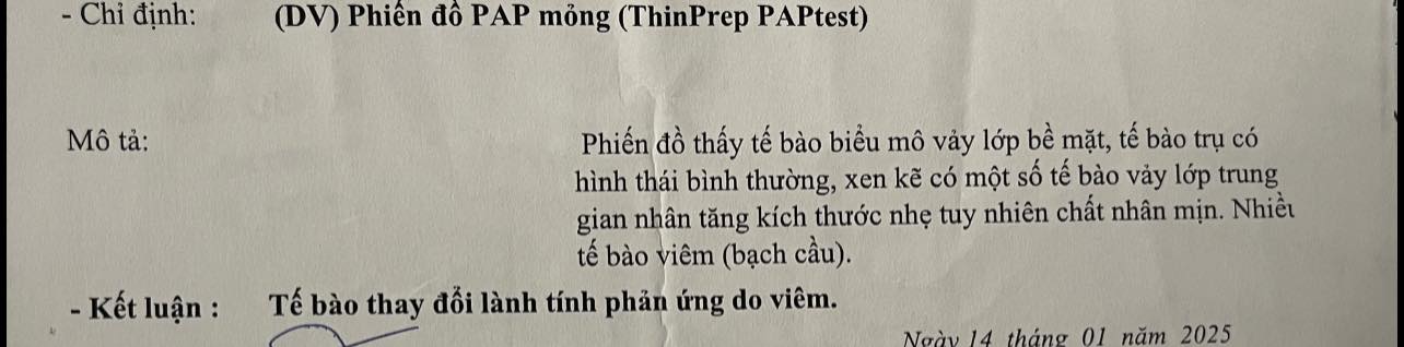 518179703 1913314356088114 855670813394417318 n