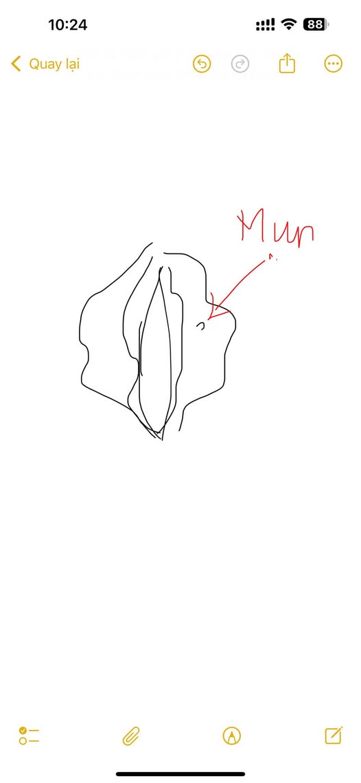 Hình ảnh do khách hàng ẩn danh cung cấp