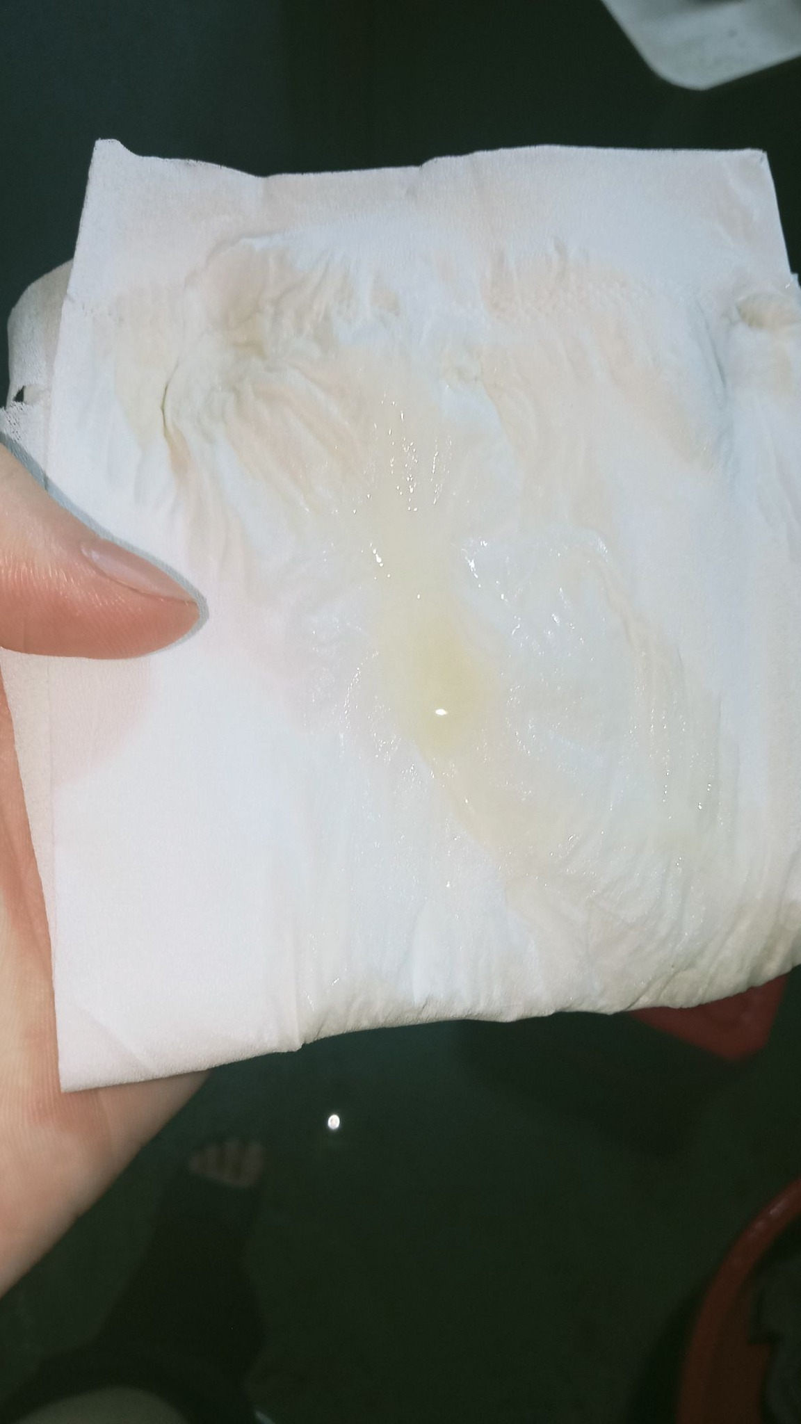 518355663 801806745593431 117810263945675792 n