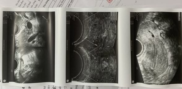 Hình ảnh do khách hàng ẩn danh cung cấp