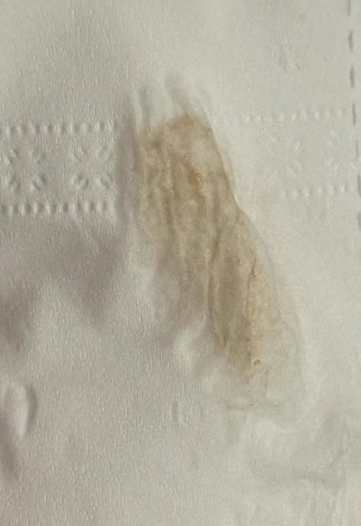 528417162 3219081024924149 4743116655888555466 n