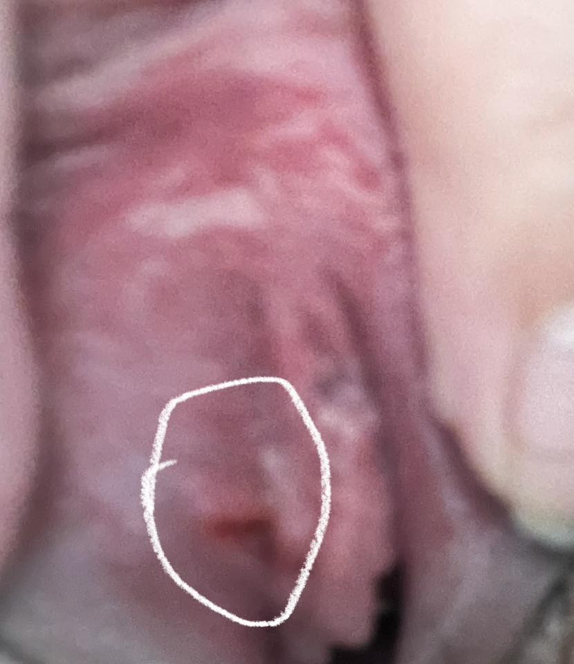 536292791 1287771133007833 7172506209696920015 n