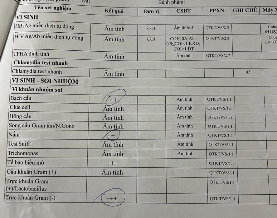 547177946 3303774503120554 7451464132358402271 n e1762960307966