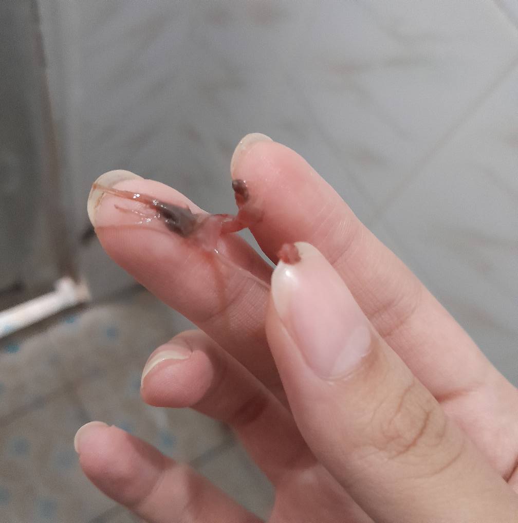 558212081 4090402221215884 8237670650928427254 n