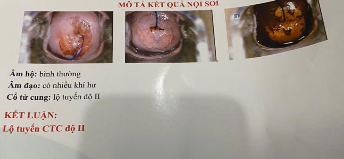 565702556 25060681150286861 1485301146141769129 n