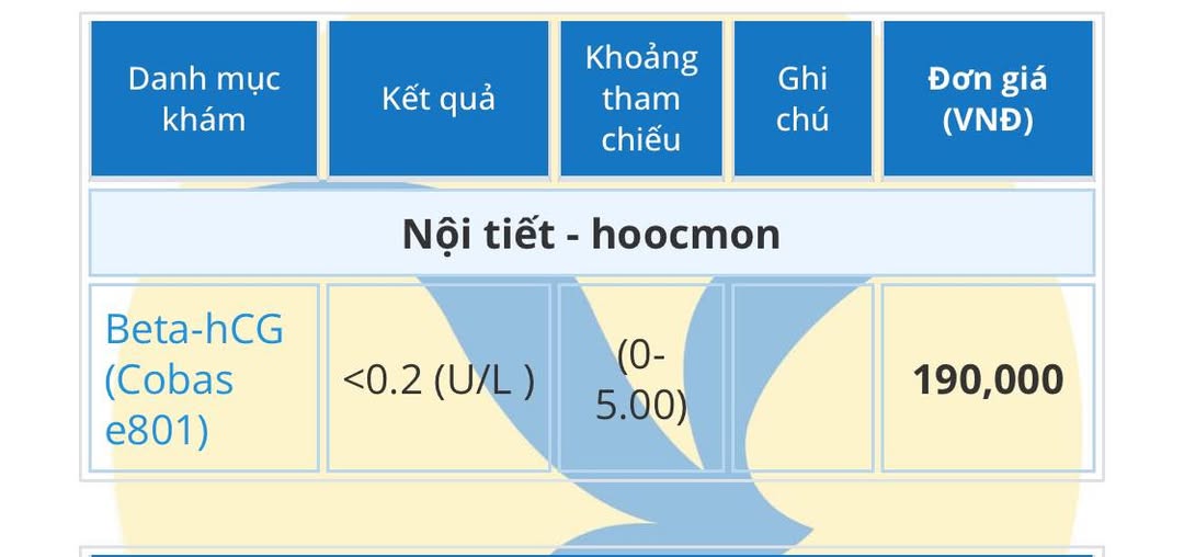 574606009 1450918752666179 4367735522189415921 n