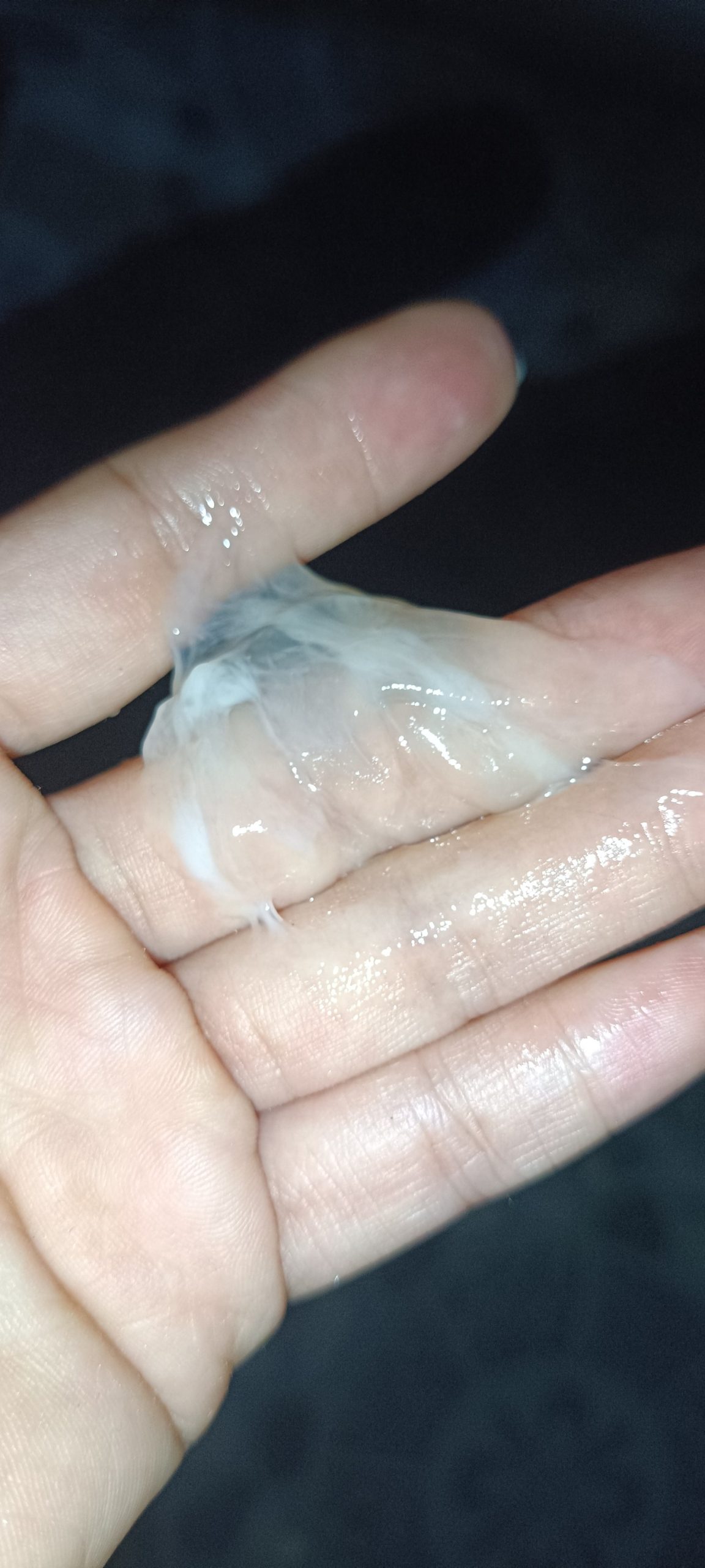 578363572 25140626162266720 5036799325130997433 n scaled