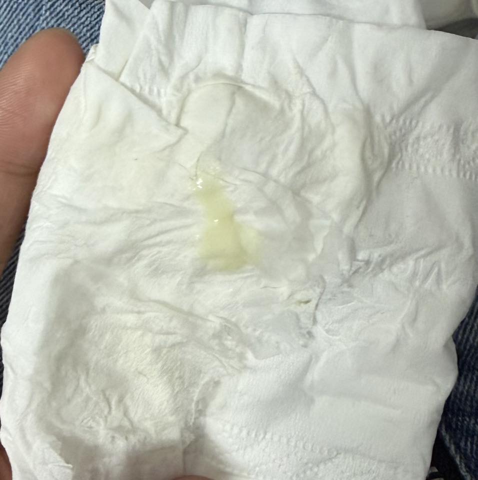 586646519 783314304754202 8733574135704468648 n