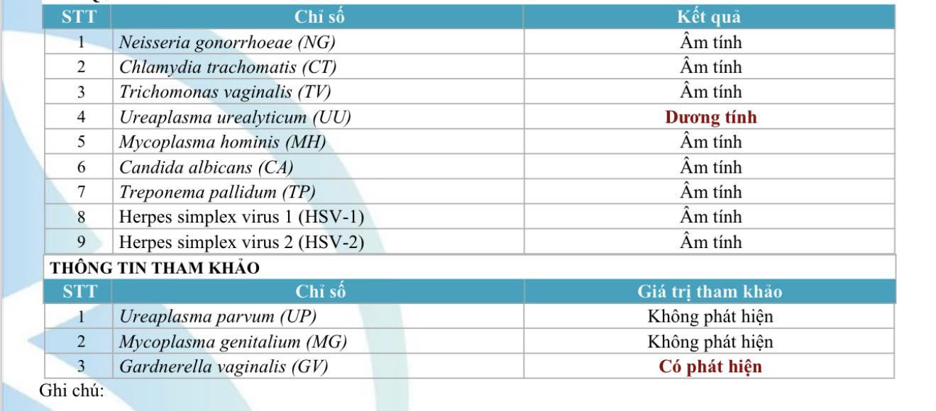 600343891 1879471609349754 7435894906117433620 n