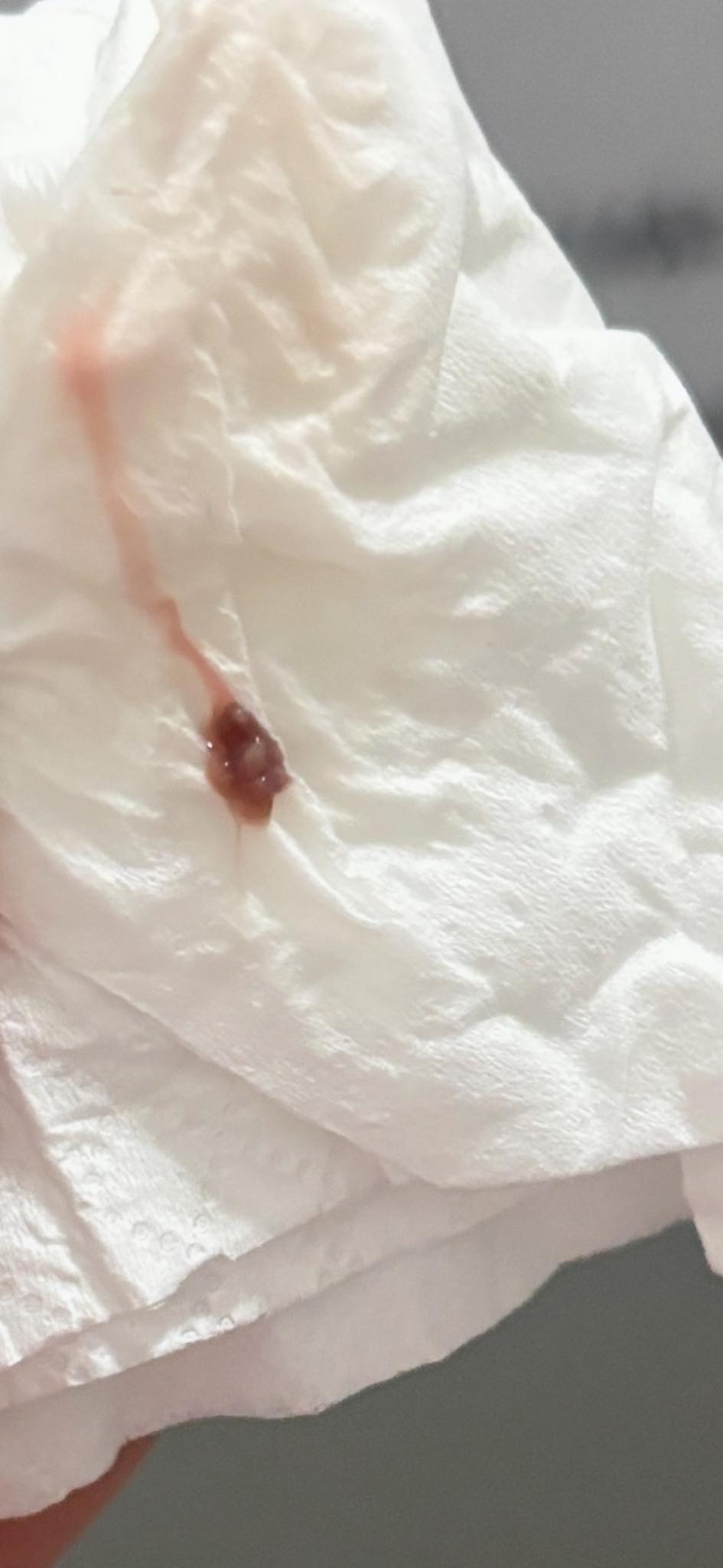 6953e556d0ba4 dich do