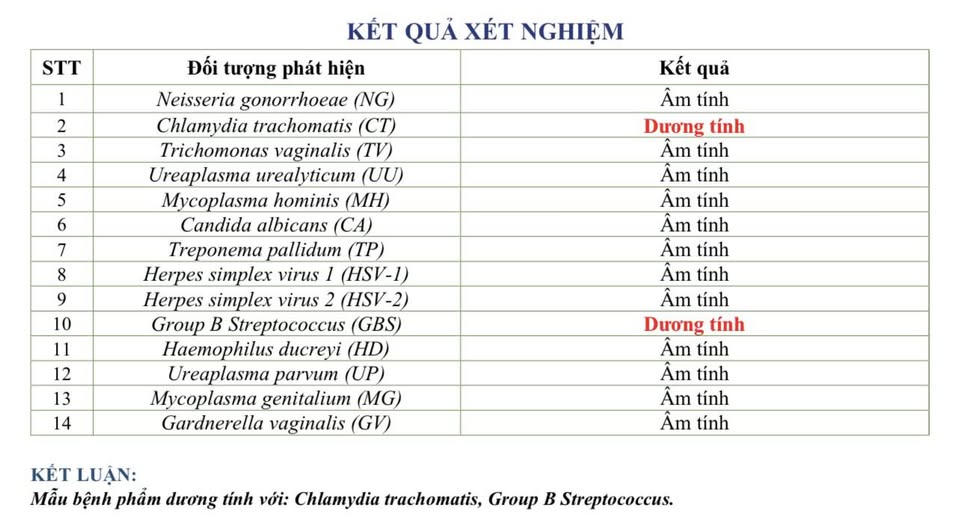 597490396 957220697468329 2364407431933168605 n