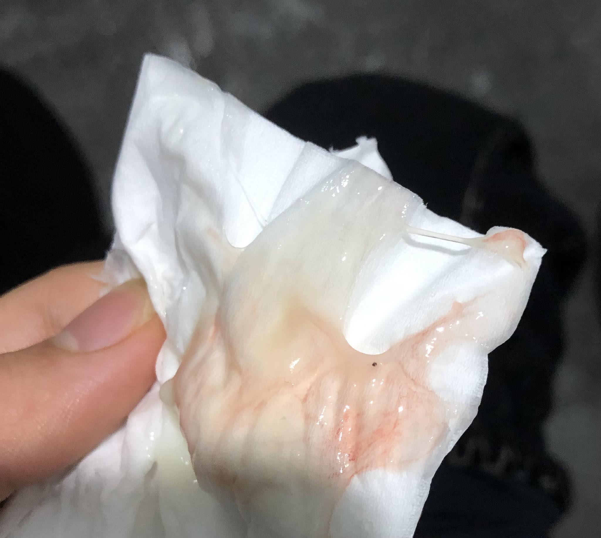 600296090 1371837720983511 4638701940794121368 n