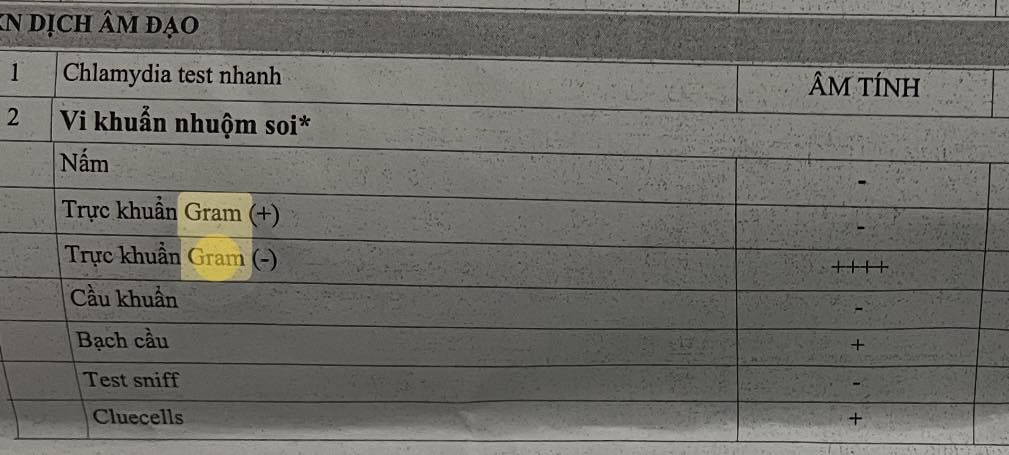 603971008 4233875750235251 7410745043337492841 n
