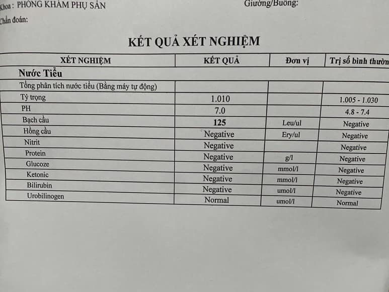 606000945 4269340476720230 3324607296863077248 n e1768496303299