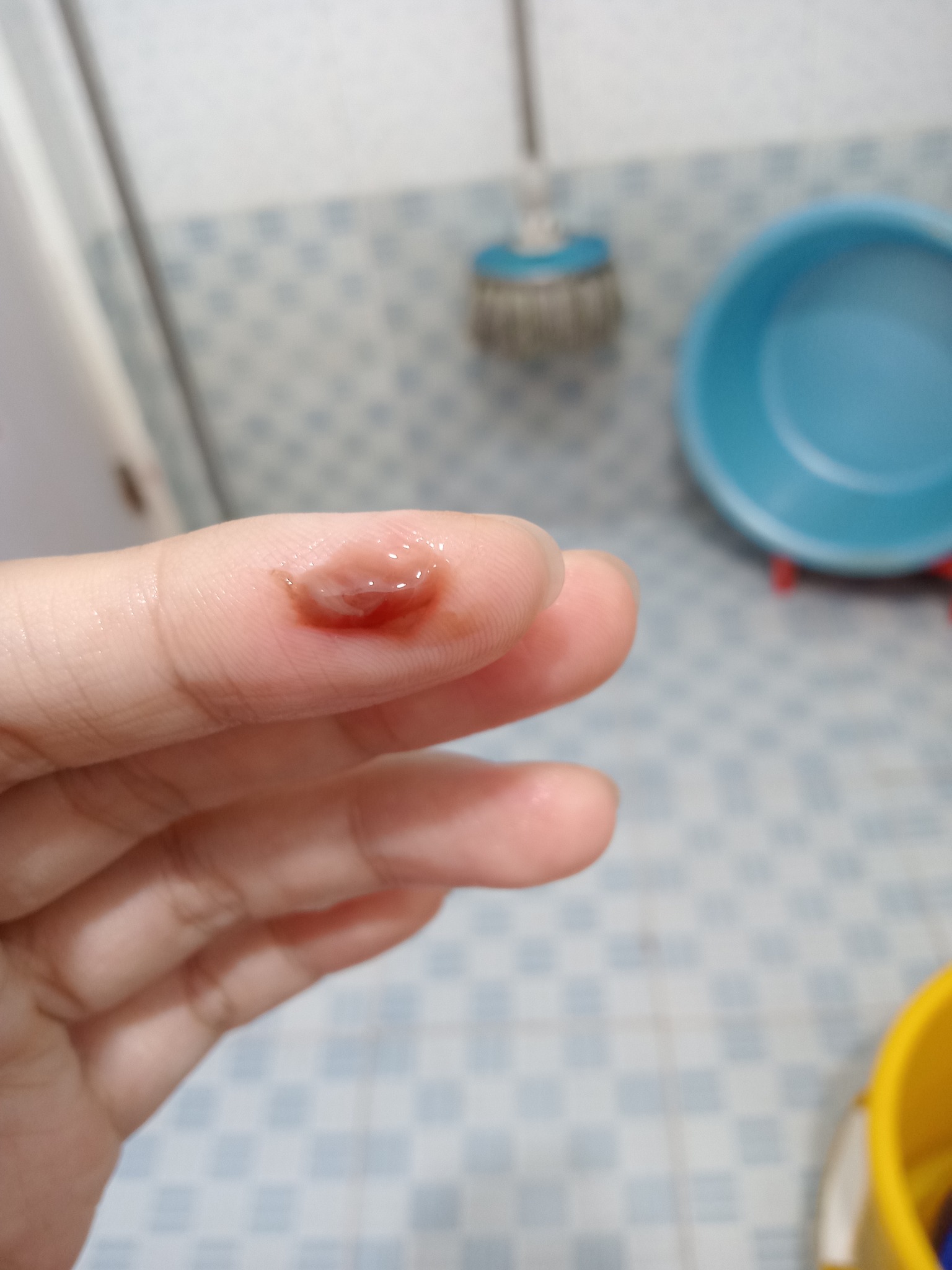 613145420 857340867083712 7017321193116181316 n