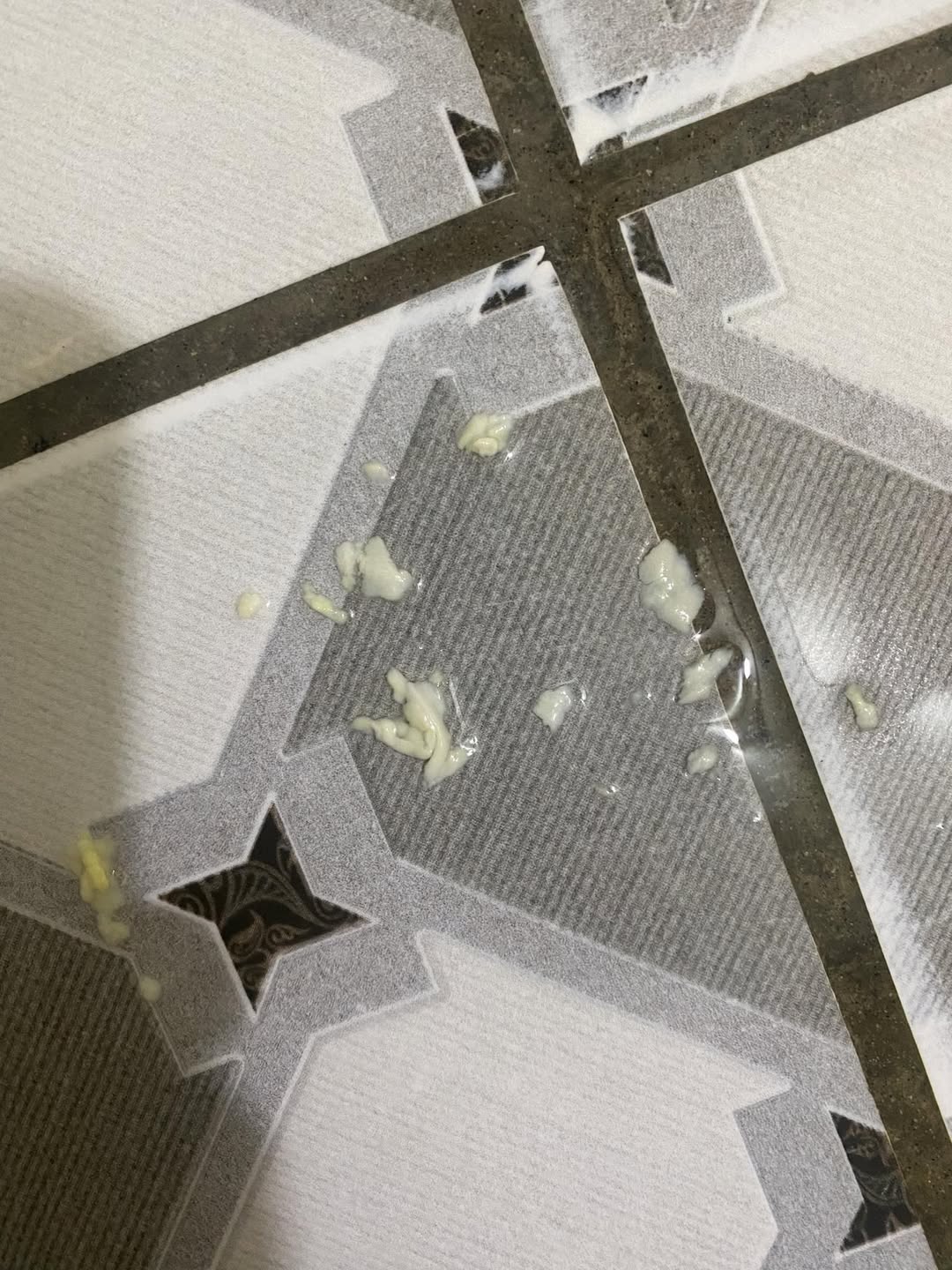 622575025 1586448026029296 4749186698704926785 n