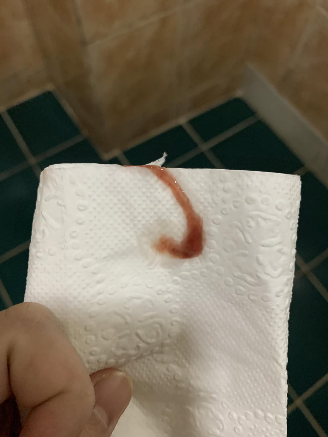 592245316 2304355450048485 8189143608718733418 n